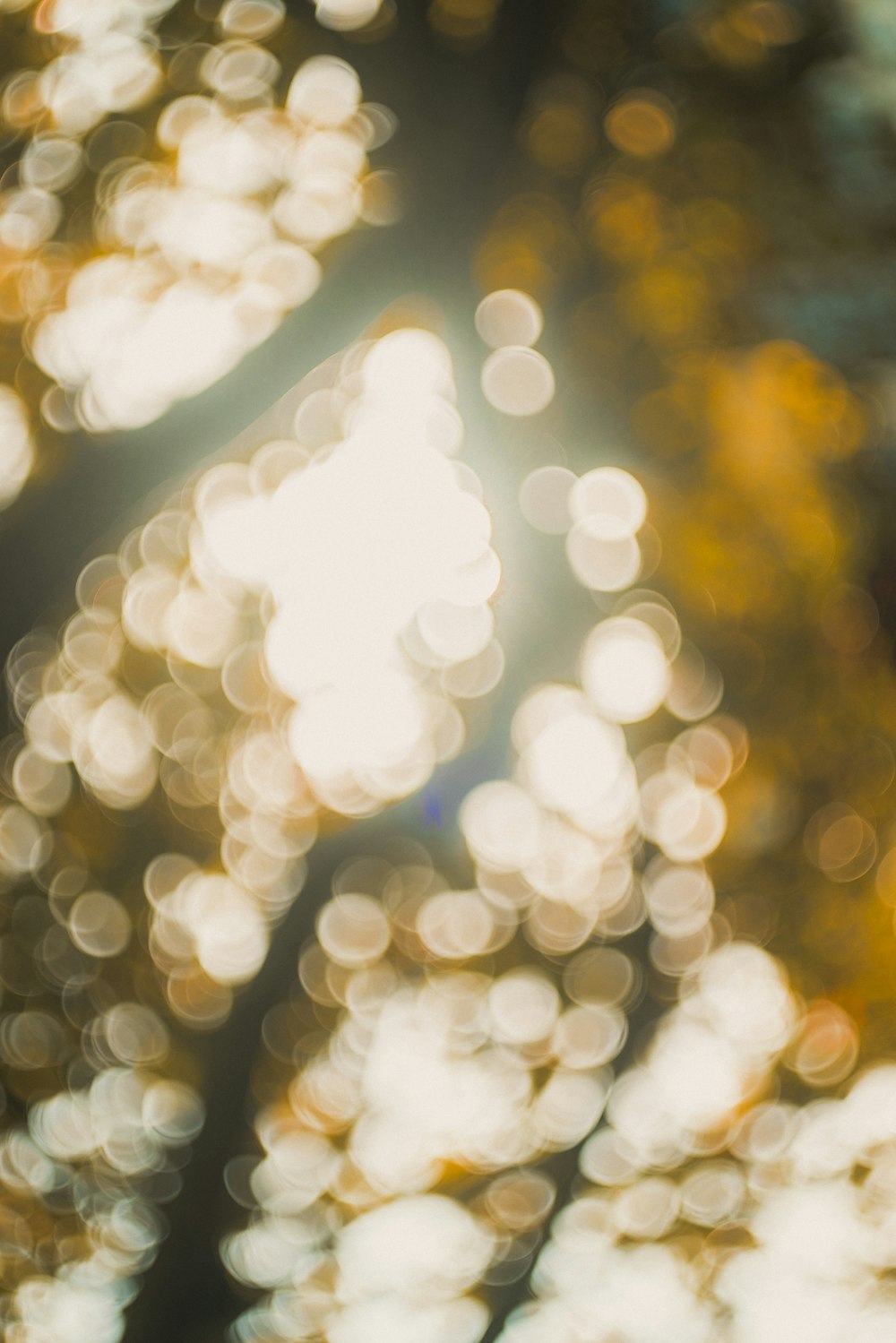 a blurry photo of a street light and trees