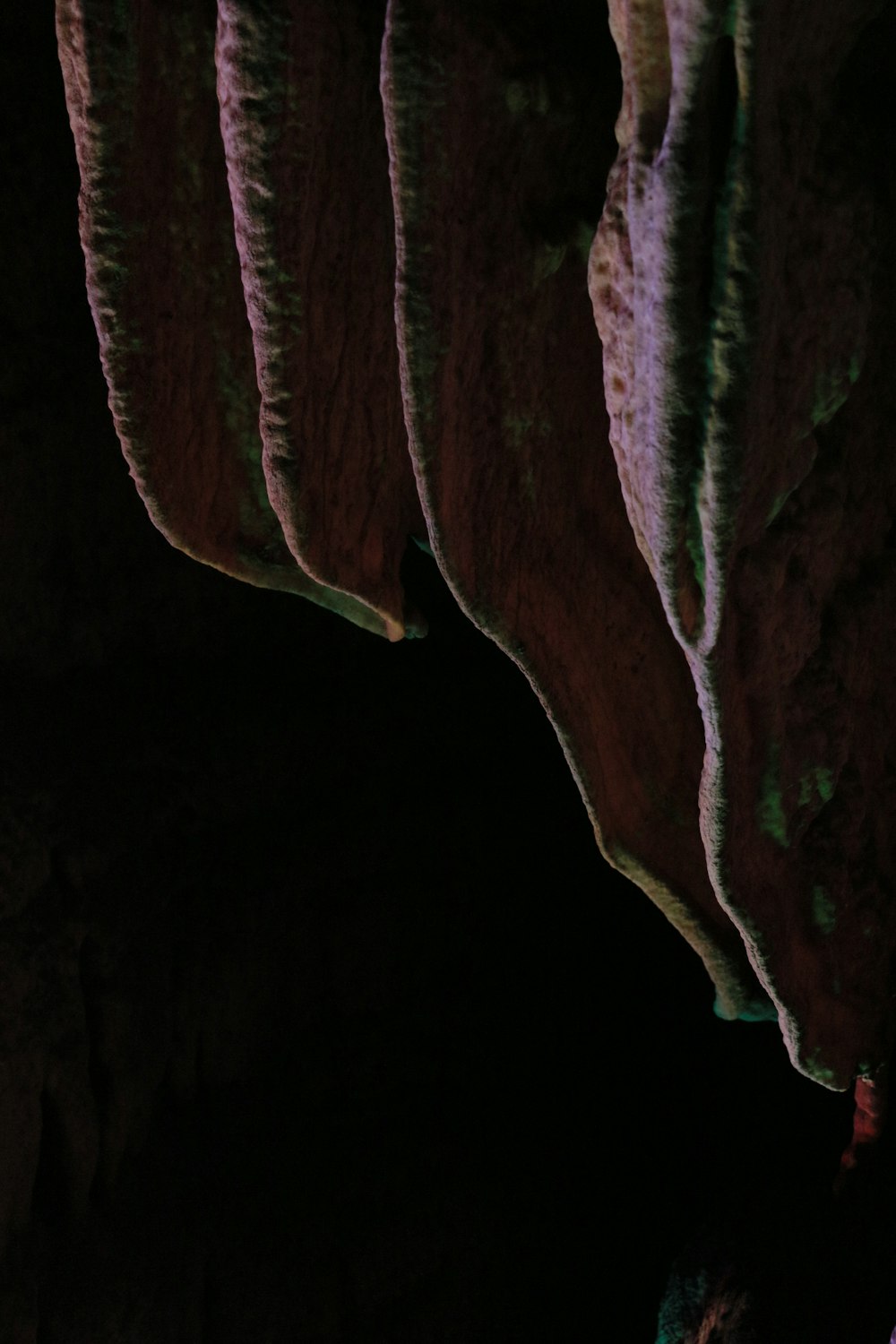 a group of people standing inside of a cave