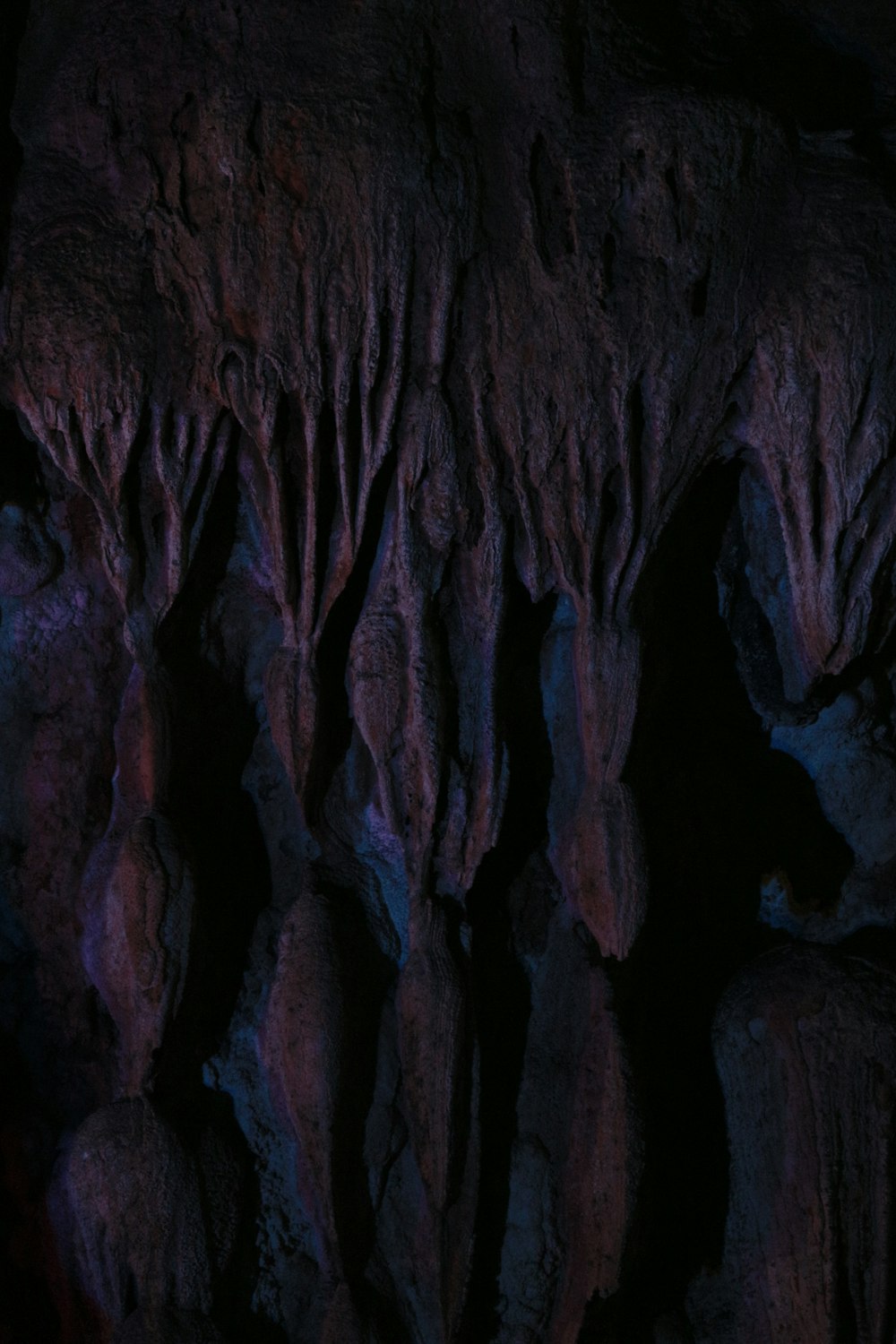 a dark cave with a bunch of trees growing out of it