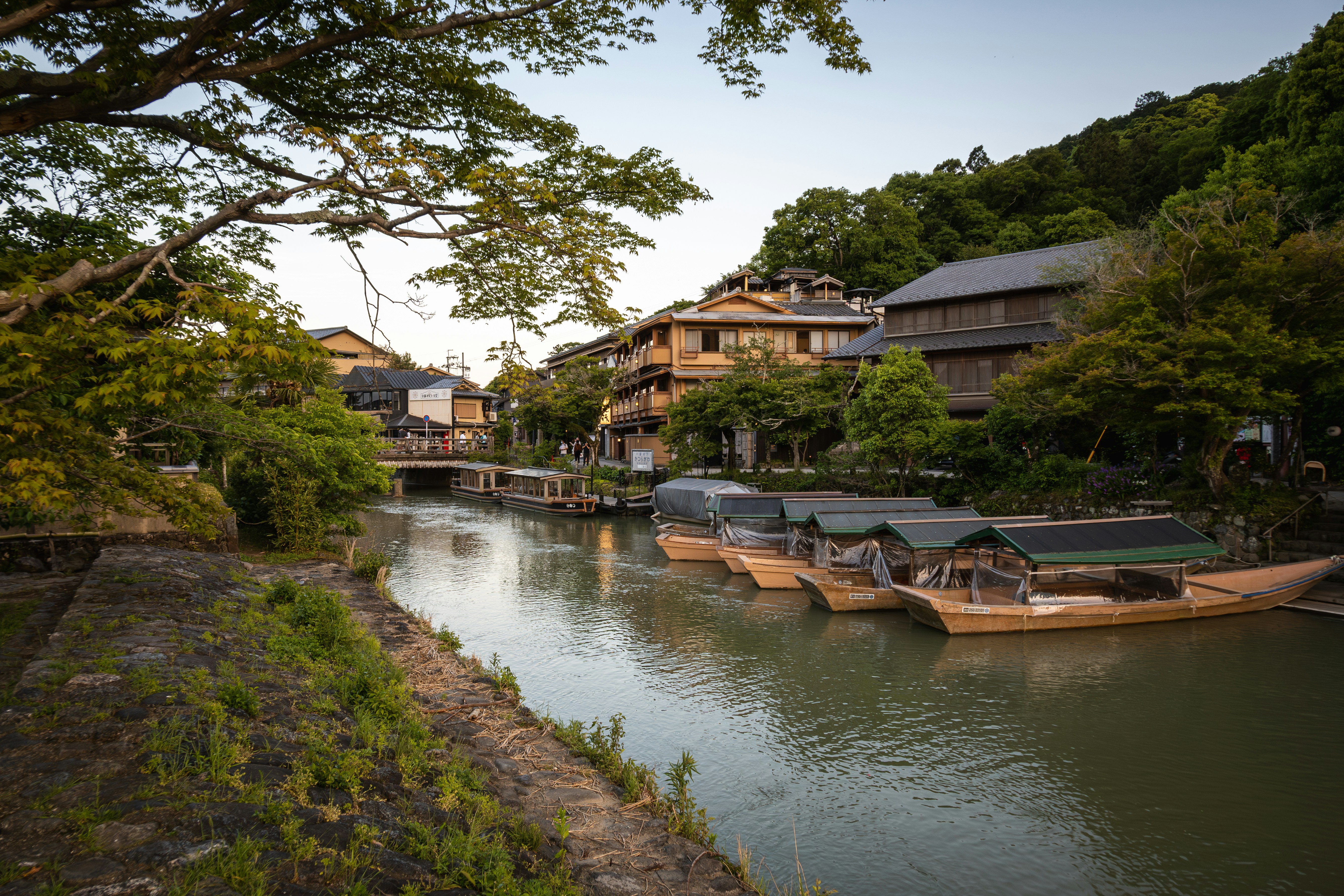 Photo by ashuba