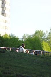 A serene outdoor gathering with people enjoying cannabis in a natural setting.