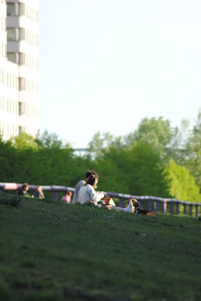 A scenic outdoor spot where people gather to enjoy cannabis peacefully.