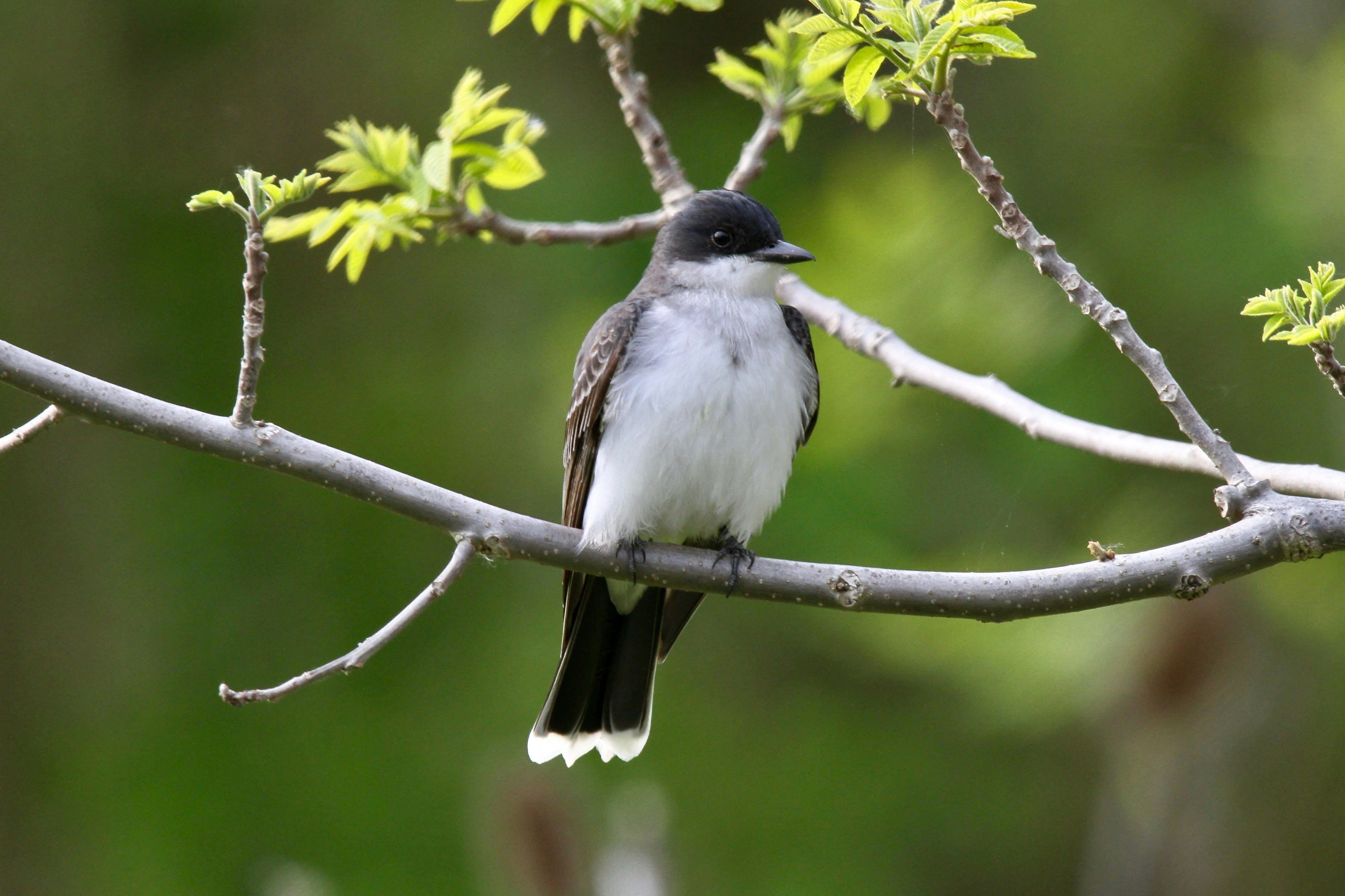 Photo by naturelensephotographer