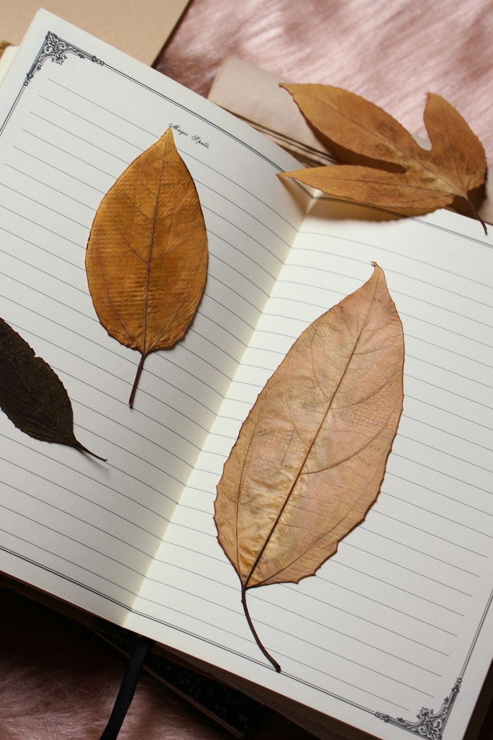 a book with leaves on it sitting on a table