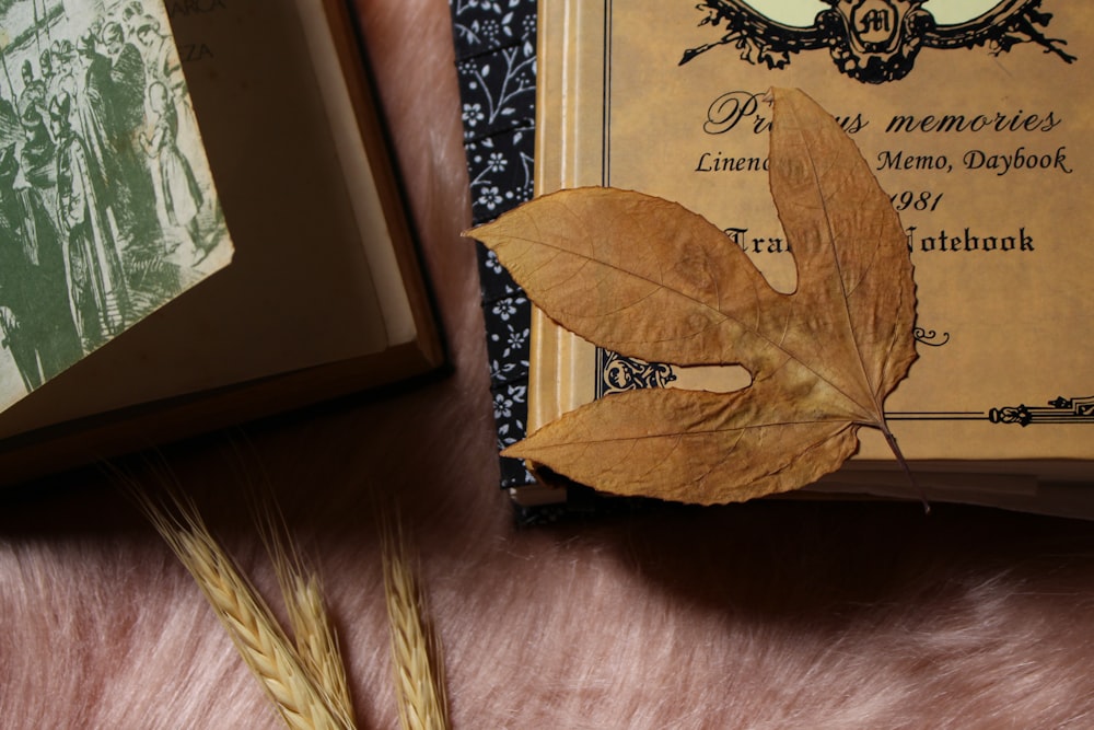 a book sitting on top of a fur covered table