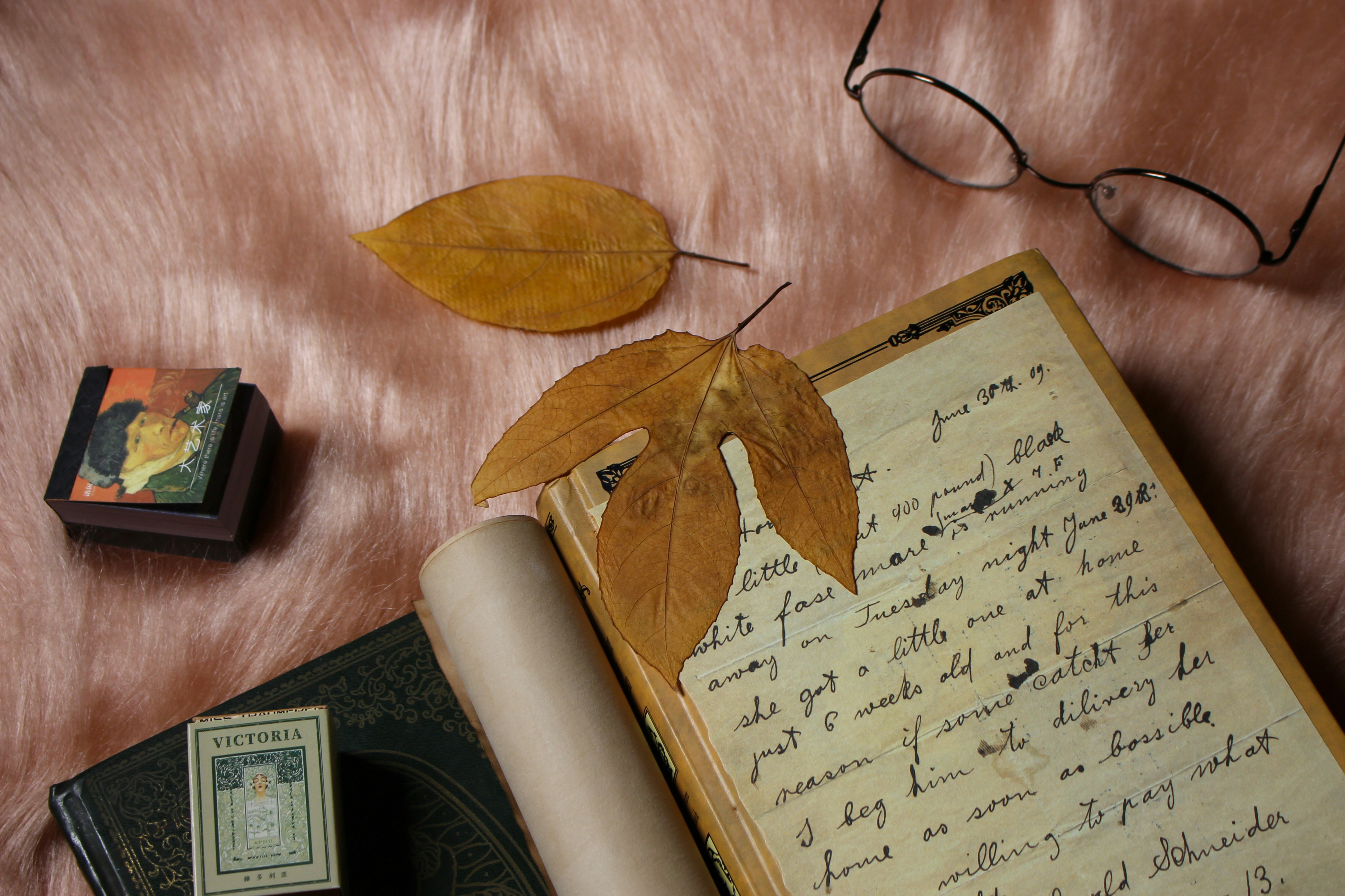 a book with a leaf on top of it next to a pair of glasses