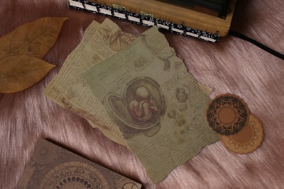 Vintage-style paper documents with intricate drawings and notes are spread on a soft, plush surface. Two large dried leaves, a closed hardcover book with a decorative cover, and ornamental round coasters are also visible, arranged in an aesthetically pleasing manner.