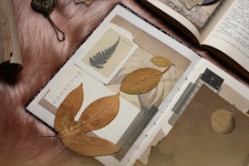 An arrangement of dried leaves placed over the pages of an open scrapbook. The scrapbook contains various textures and patterns, including an illustration of a fern and a circular celestial design. Nearby are additional open books and several vintage-looking items, all resting on a soft, fuzzy surface.