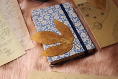 Soft blue-toned journal with a leaf placed on top