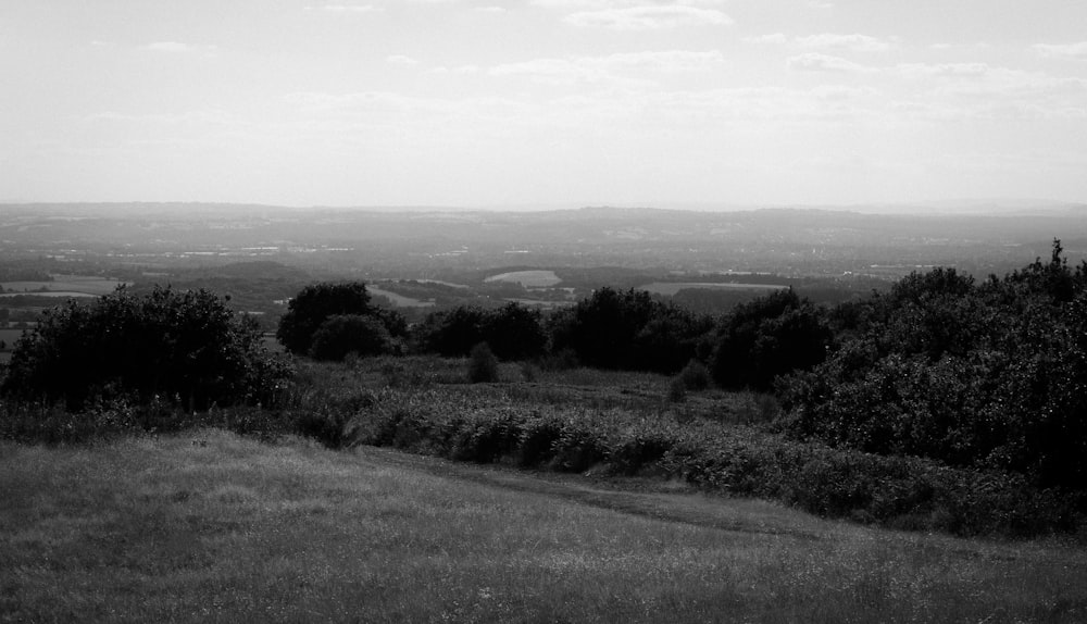 a black and white photo of a landscape