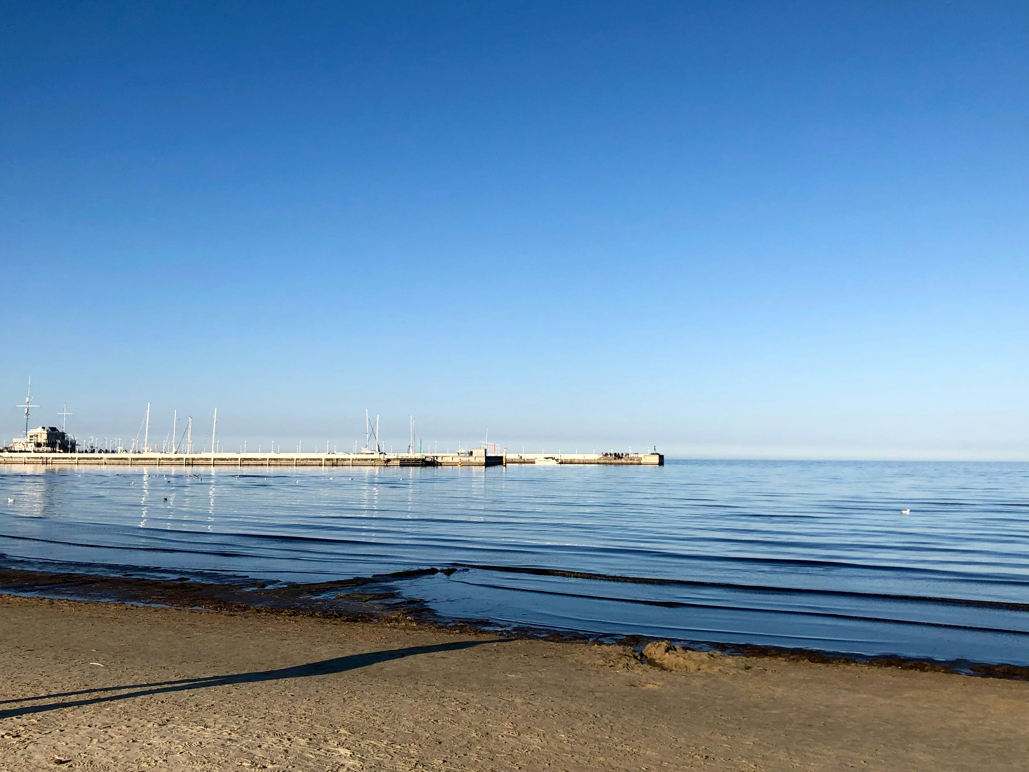 Photo by maksym_harbar