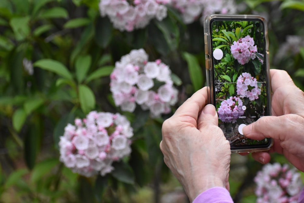 a person taking a picture of some flowers