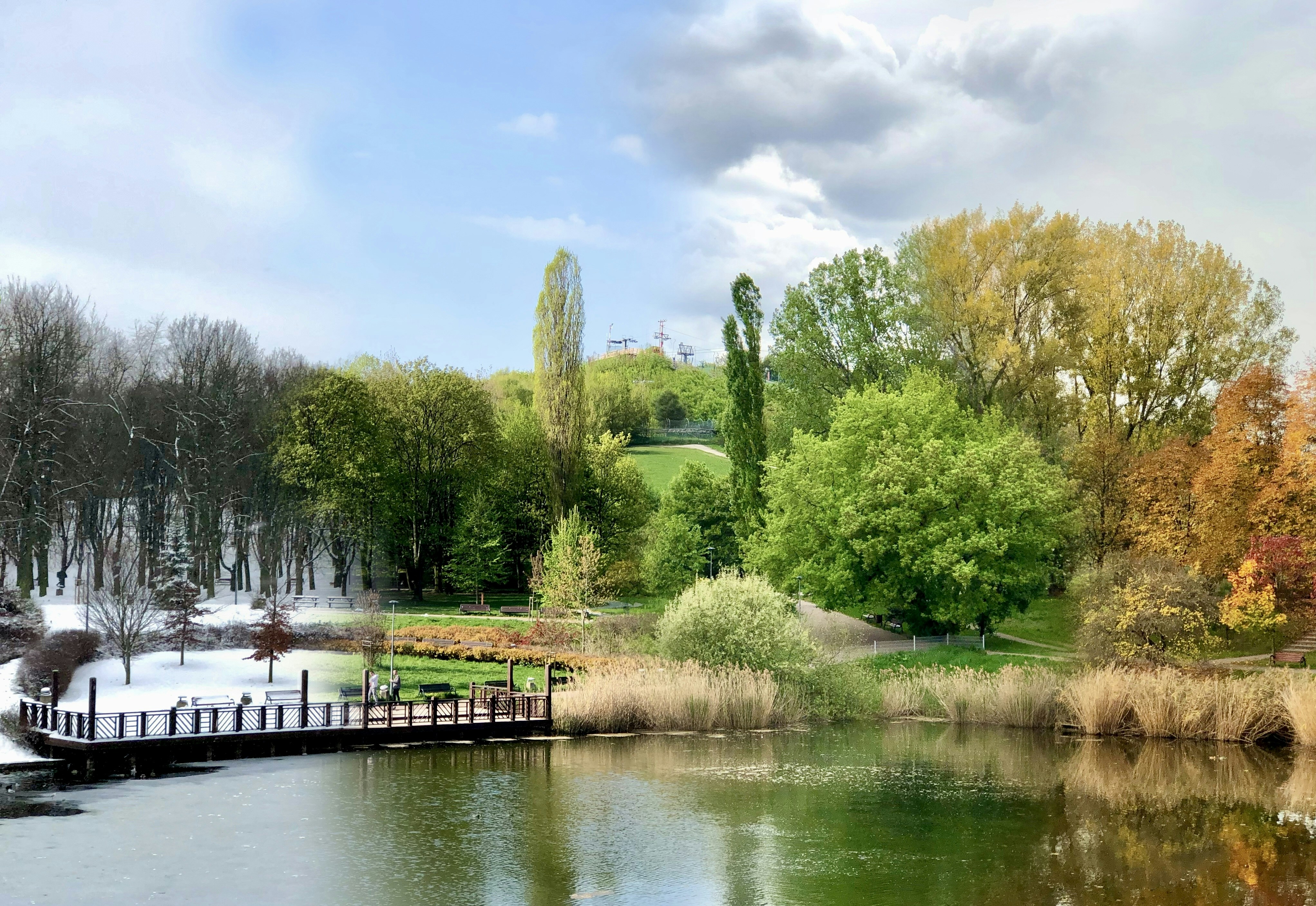 Photo by maksym_harbar