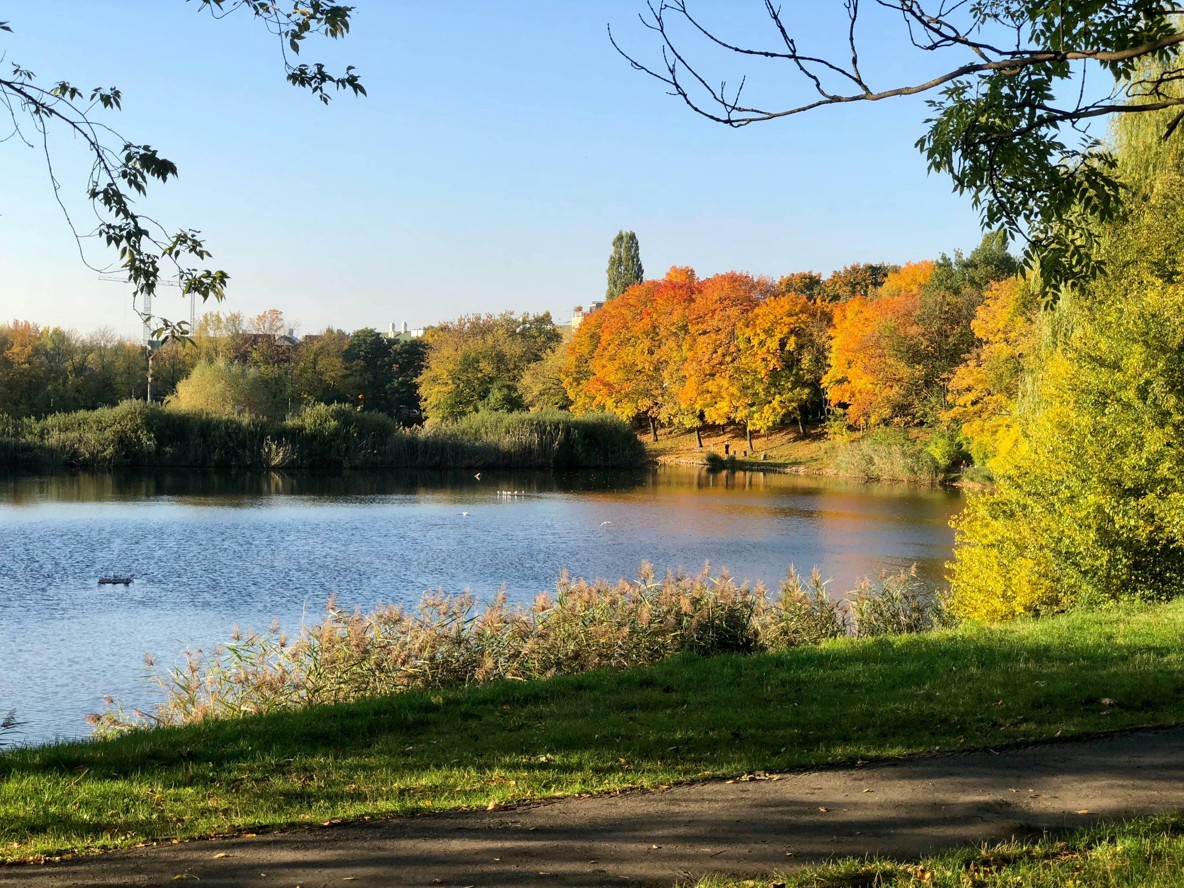 Photo by maksym_harbar