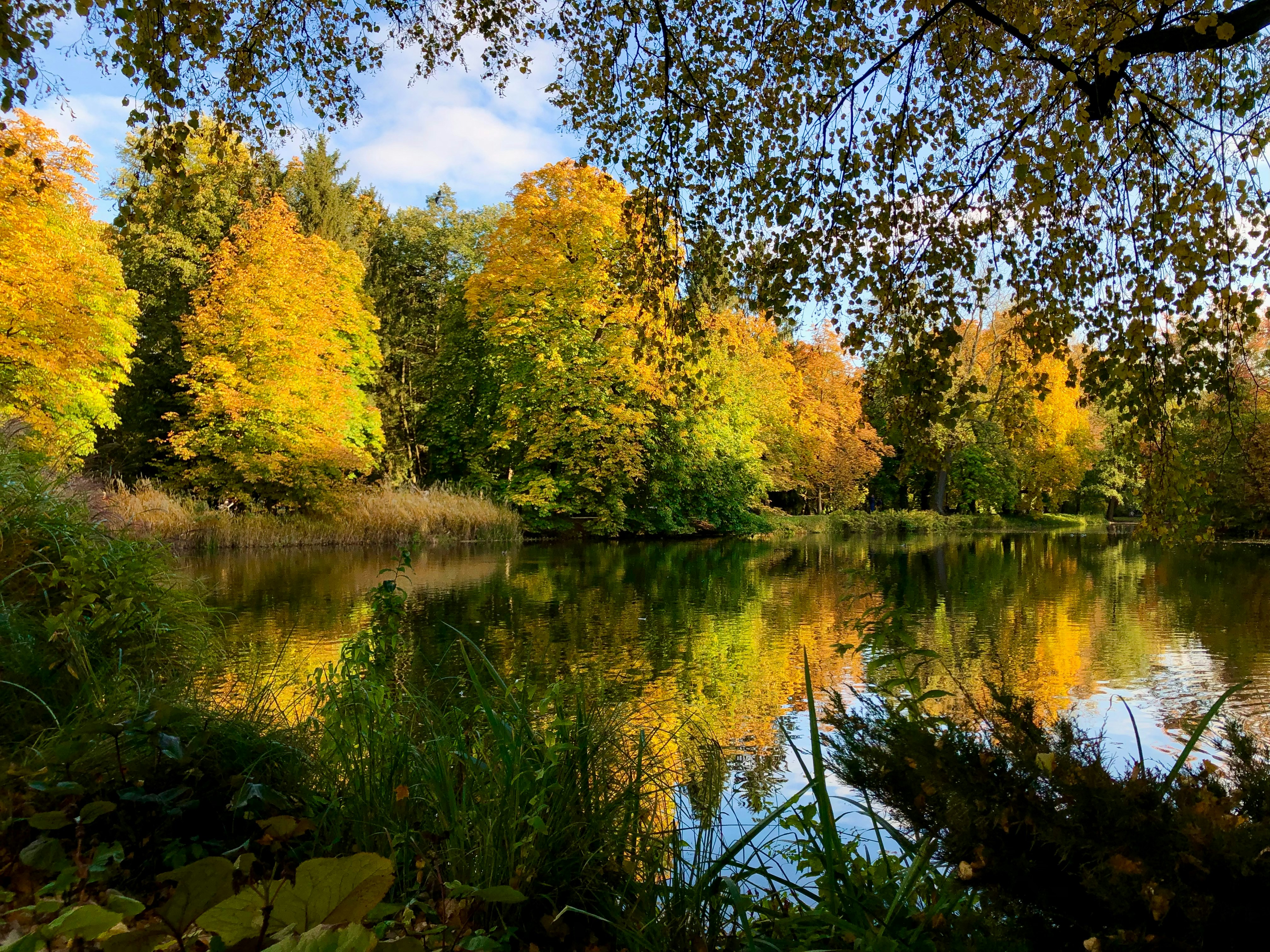 Photo by maksym_harbar