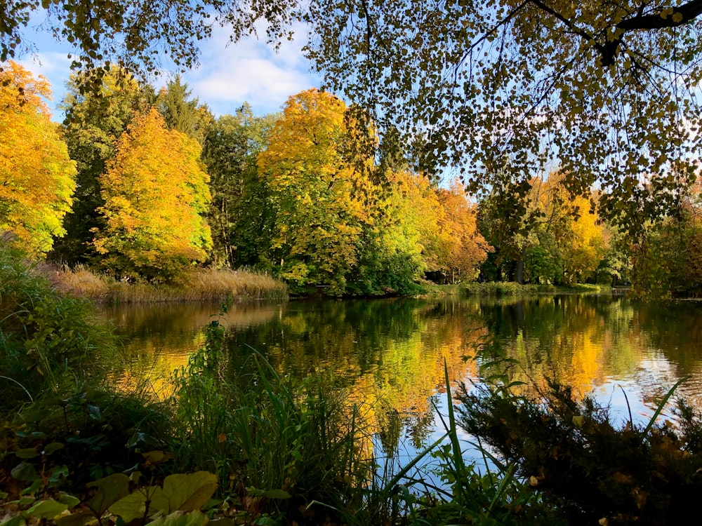 a lake surrounded by lots of trees in the fall