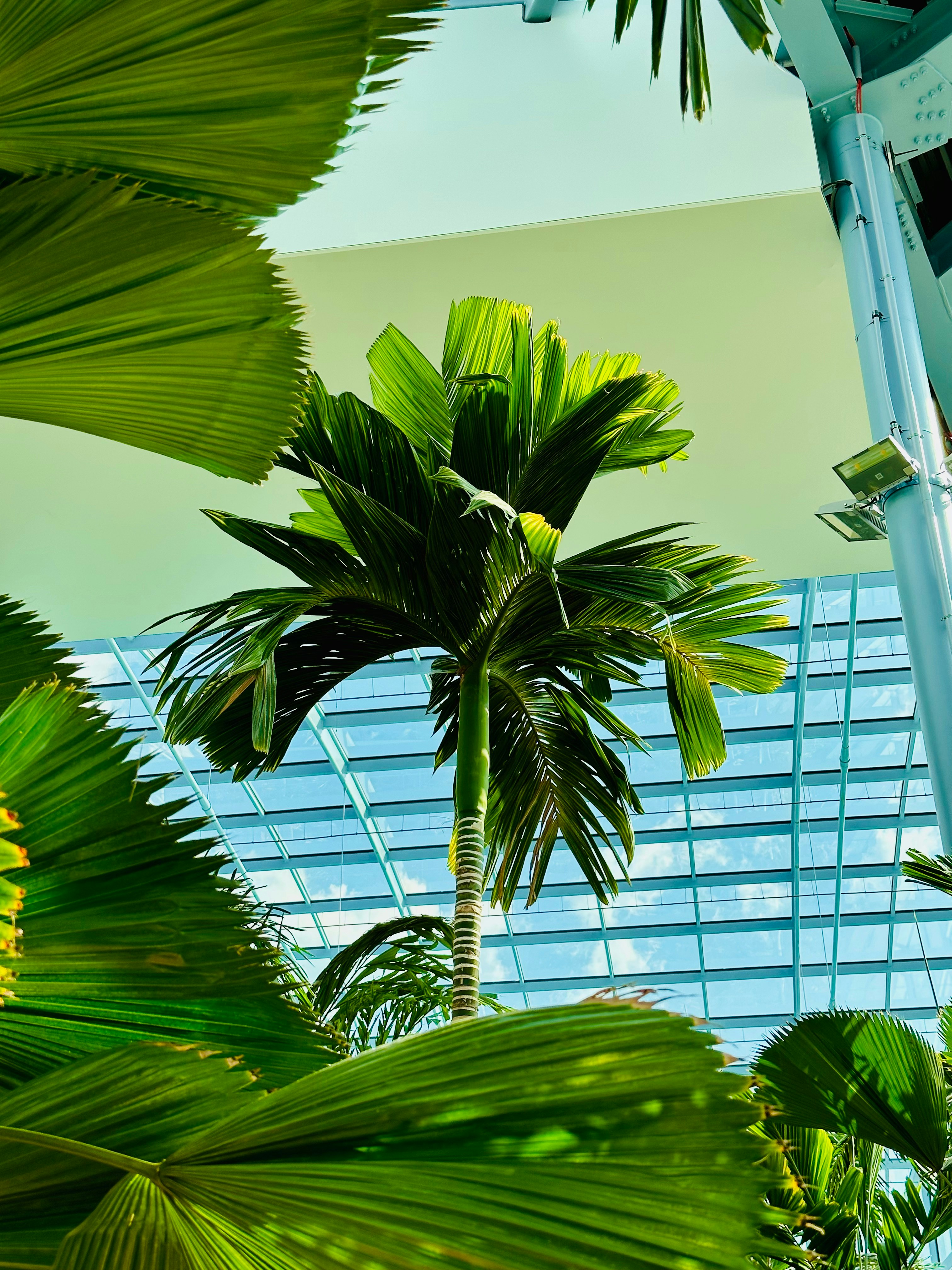 Photo by maksym_harbar