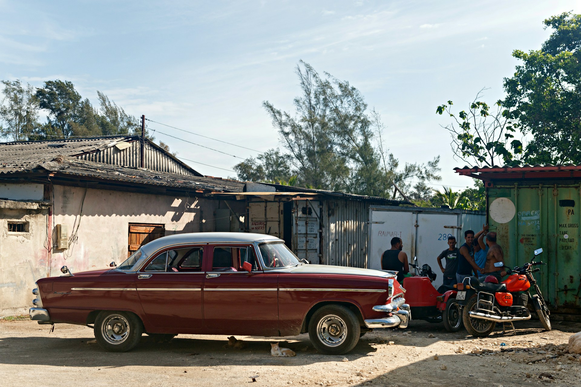 A warm moment captured during a convivial picnic event, with club members sharing food and stories beside their beautifully restored motorcycles and cars.