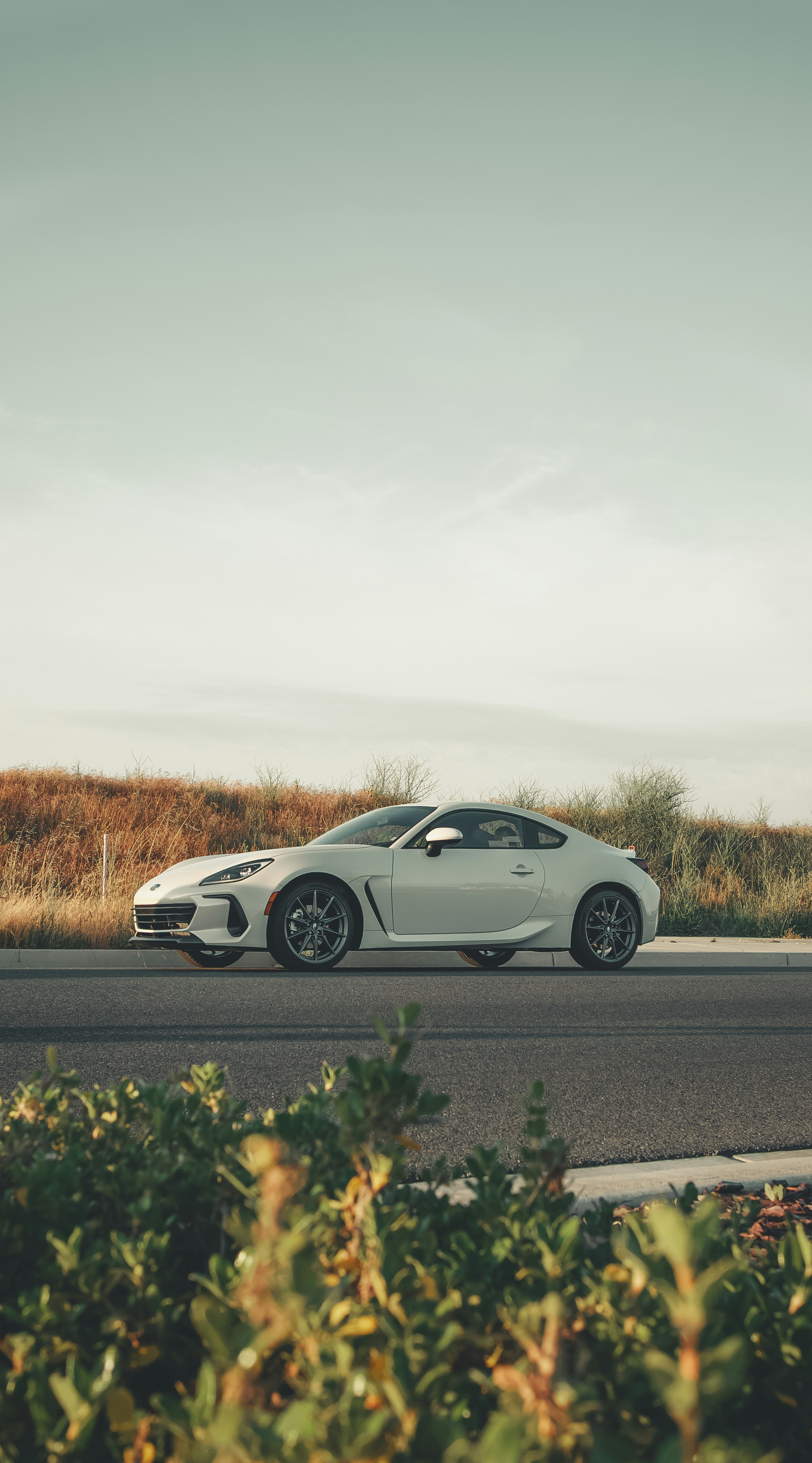 Photo by angelssloppyphotos