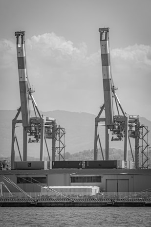 Grayscale image of a busy shipping dock with containers and cranes at work.