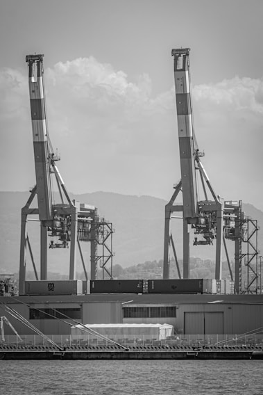 A monochrome image features two large port cranes towering above a row of shipping containers at a dockside. The cranes appear metallic and industrial, with a backdrop of distant hills and cloudy skies. Below the cranes and containers, there is a structure with a sloped roof and rows of windows, possibly a warehouse.