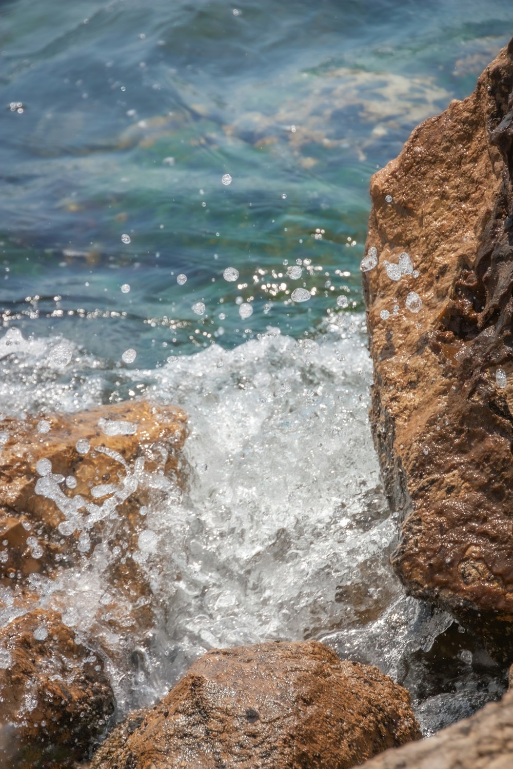 a bird is sitting on a rock near the water