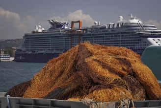 A large cruise ship is docked at a port with a pile of fishing nets in the foreground. The ship dominates the background, featuring a prominent luxury liner design with visible decks and accommodations. The fishing nets are tangled and weathered, with rich, earthy tones. The scene conveys a contrast between industrial seafaring vessels and traditional fishing tools.