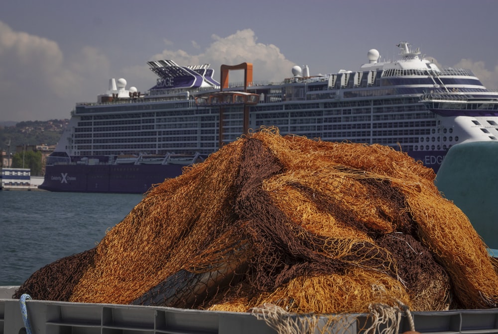 a large cruise ship in the background with a pile of hay in the foreground