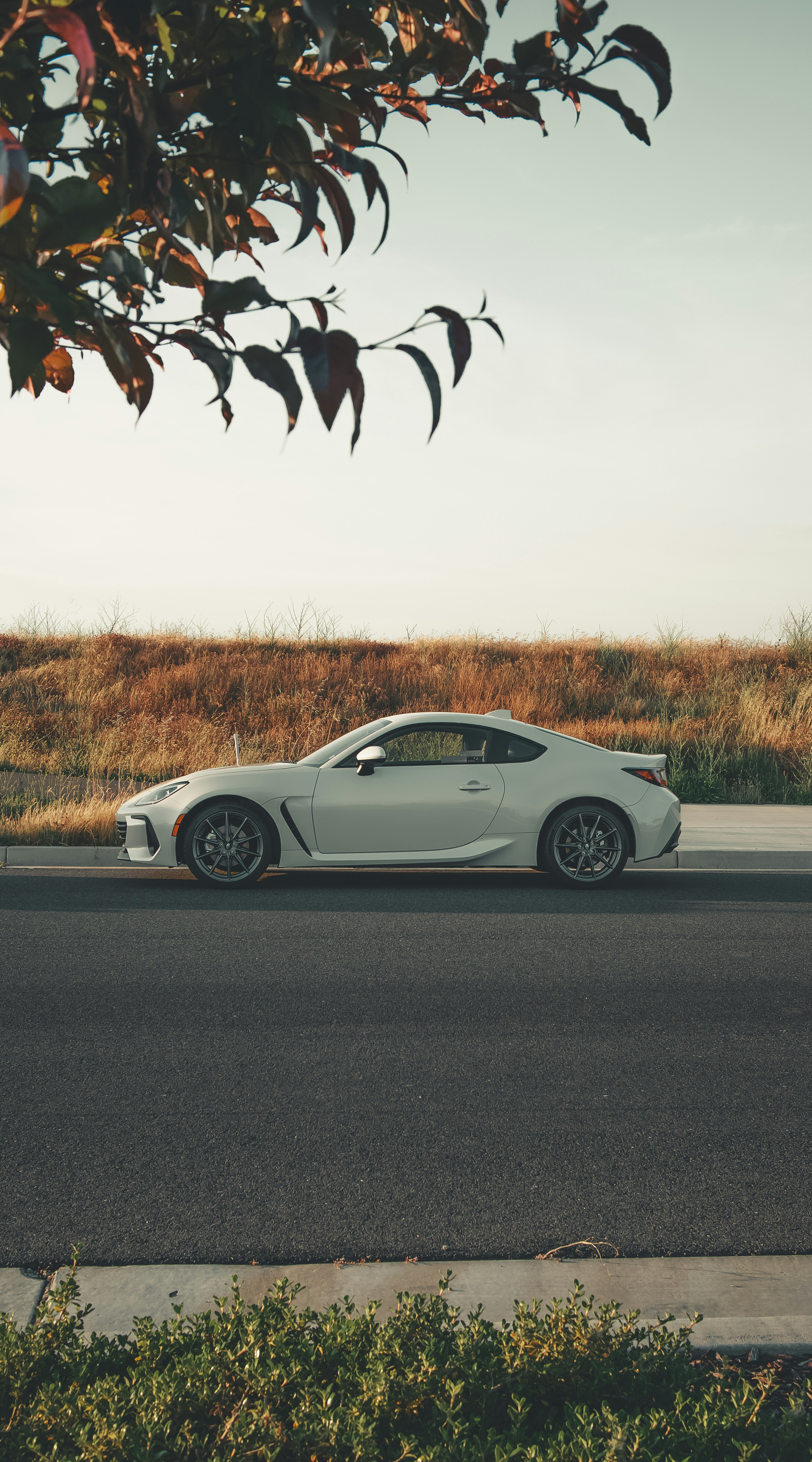 Photo by angelssloppyphotos