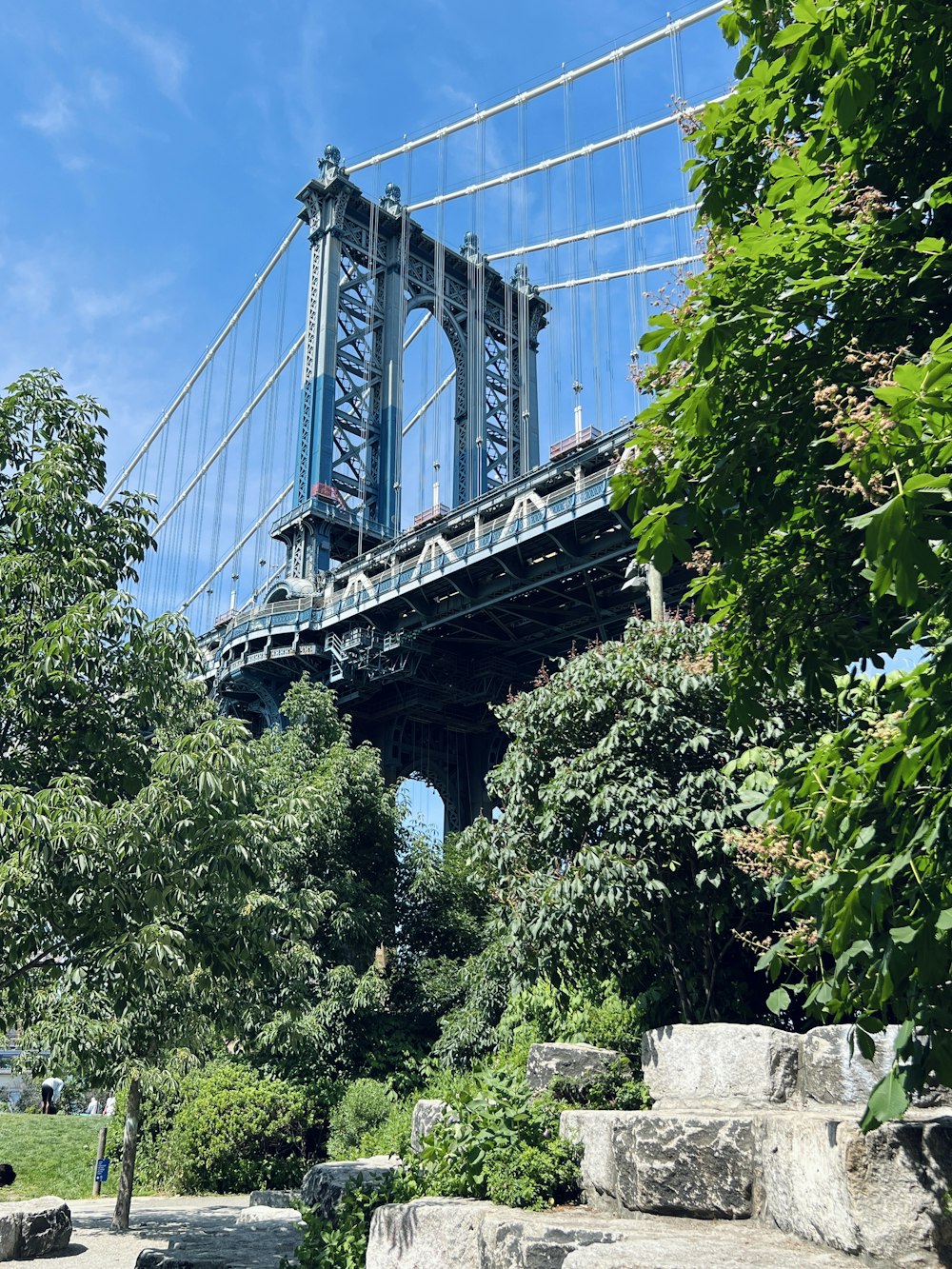 a view of a bridge from a park