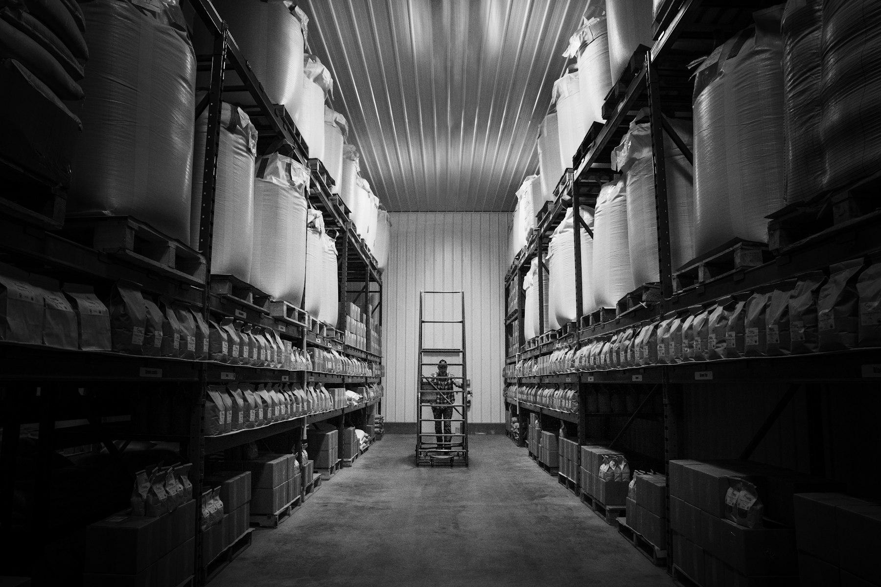 Warehouse with stocked shelving and boxes