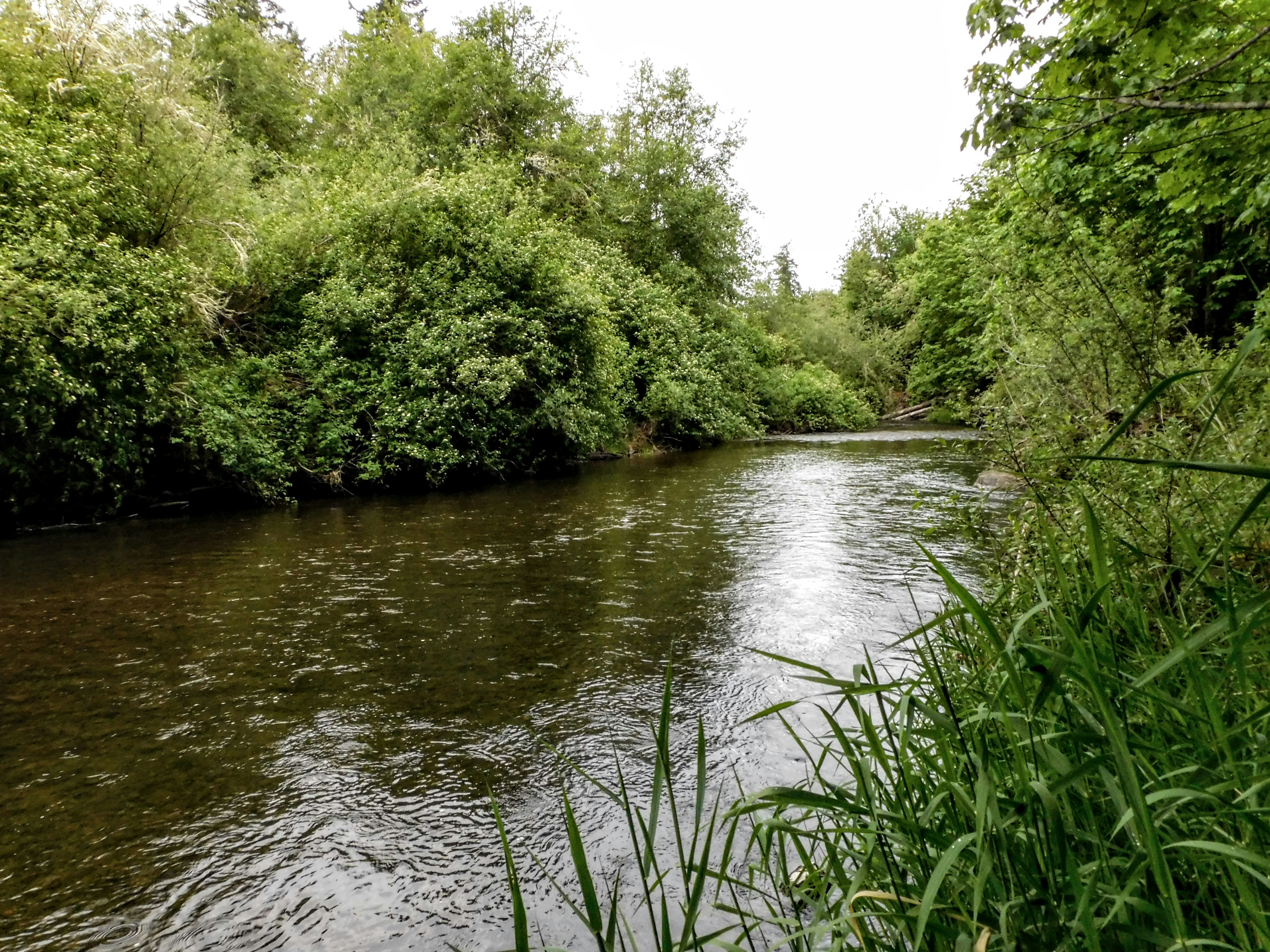 Photo by prphotography262