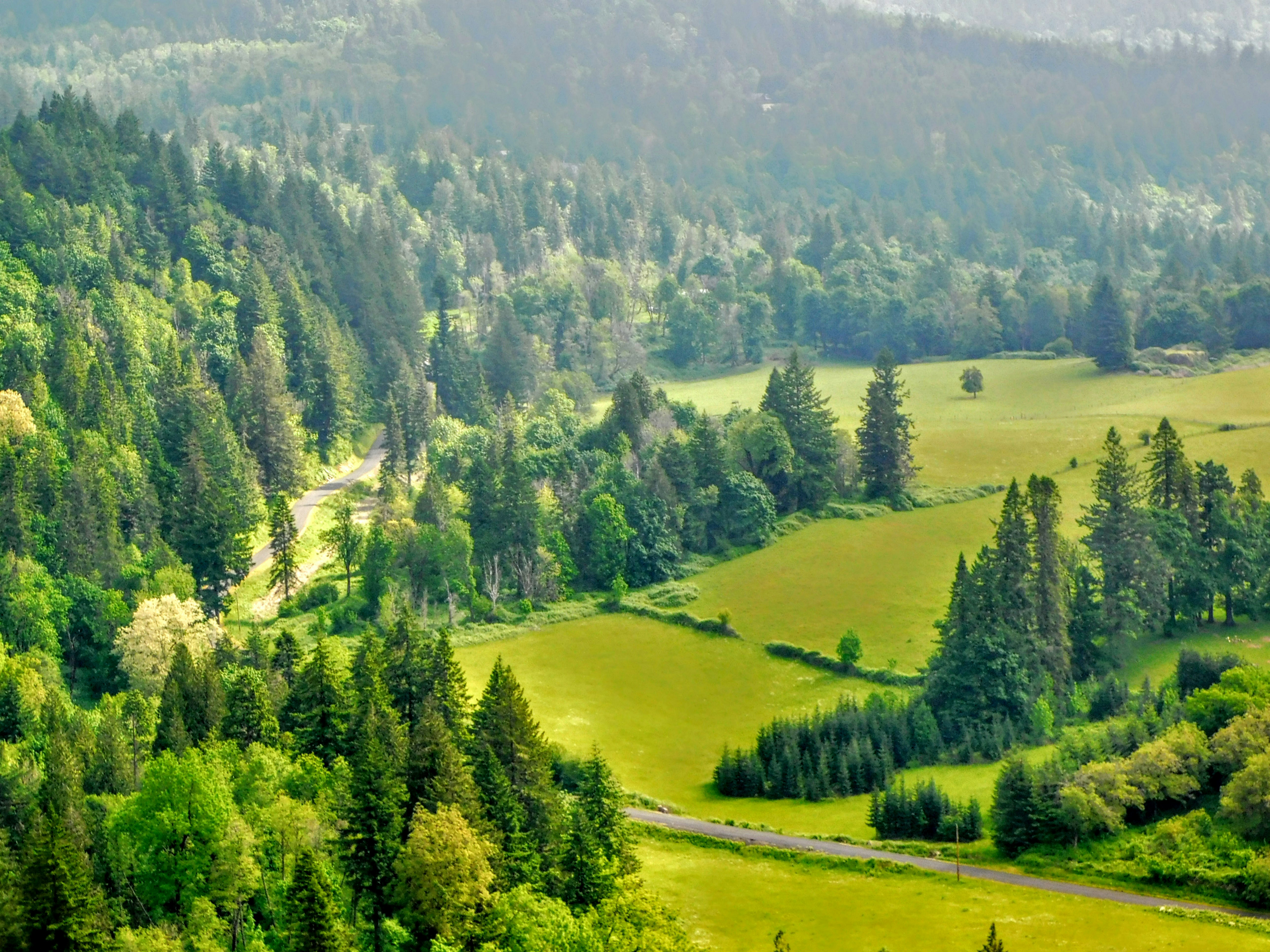 Photo by prphotography262