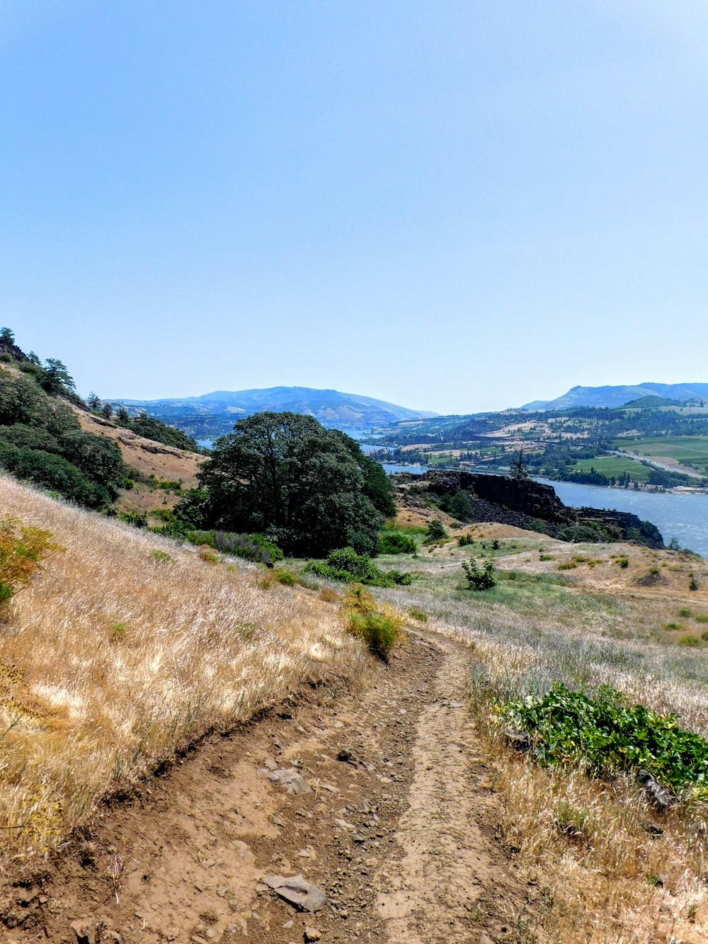 a dirt path leading to a body of water