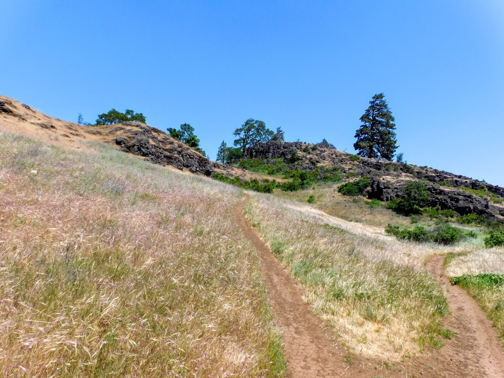 a dirt path going up a hill with trees in the background