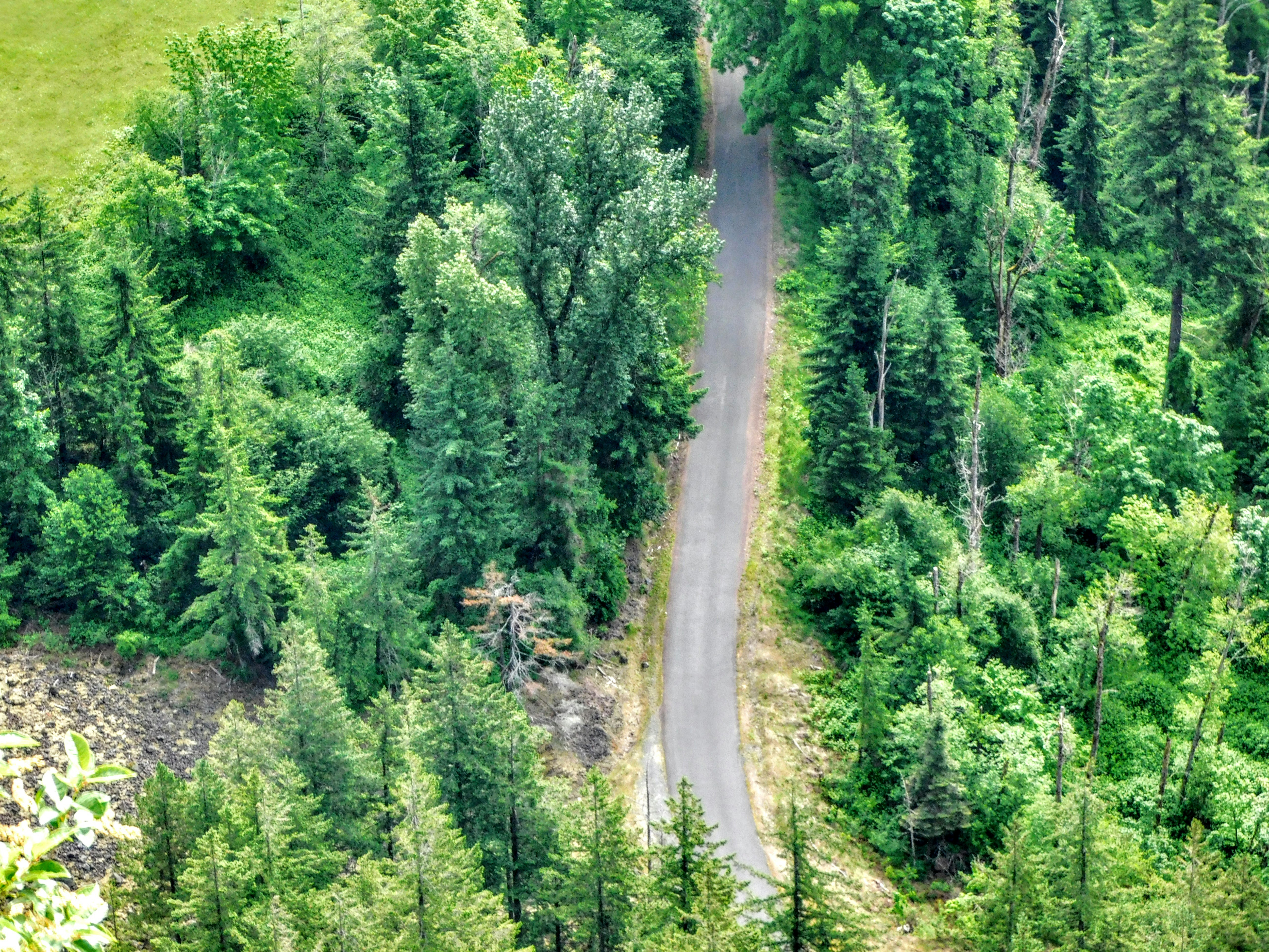 Photo by prphotography262