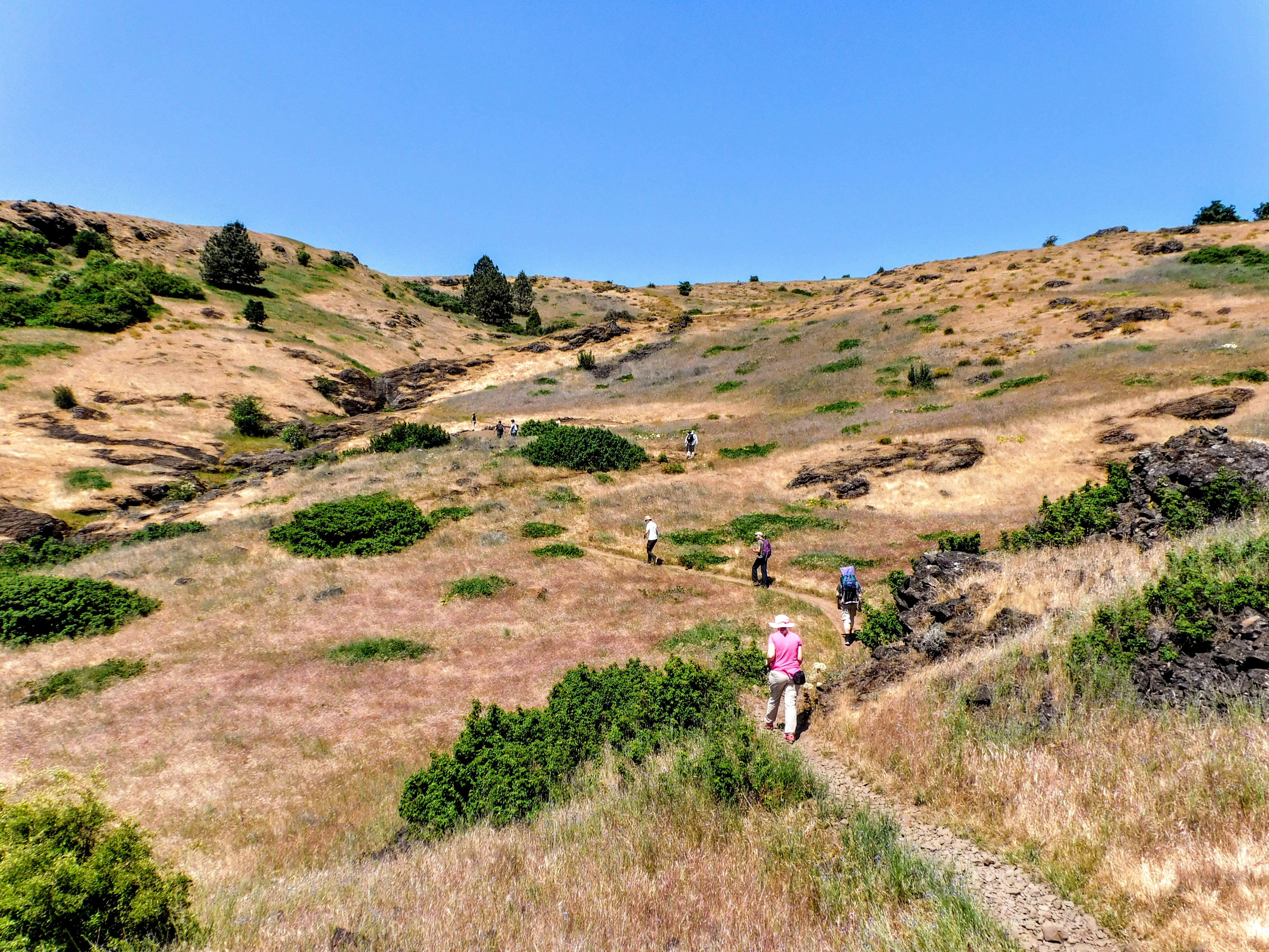 a group of people hiking up a hill