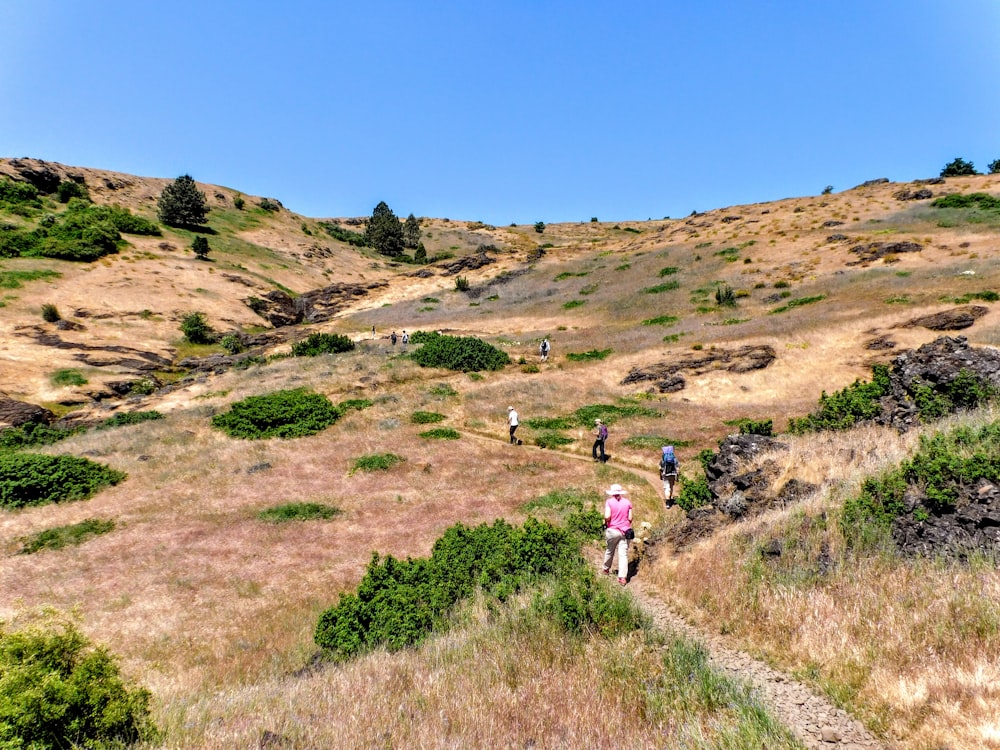 a group of people hiking up a hill