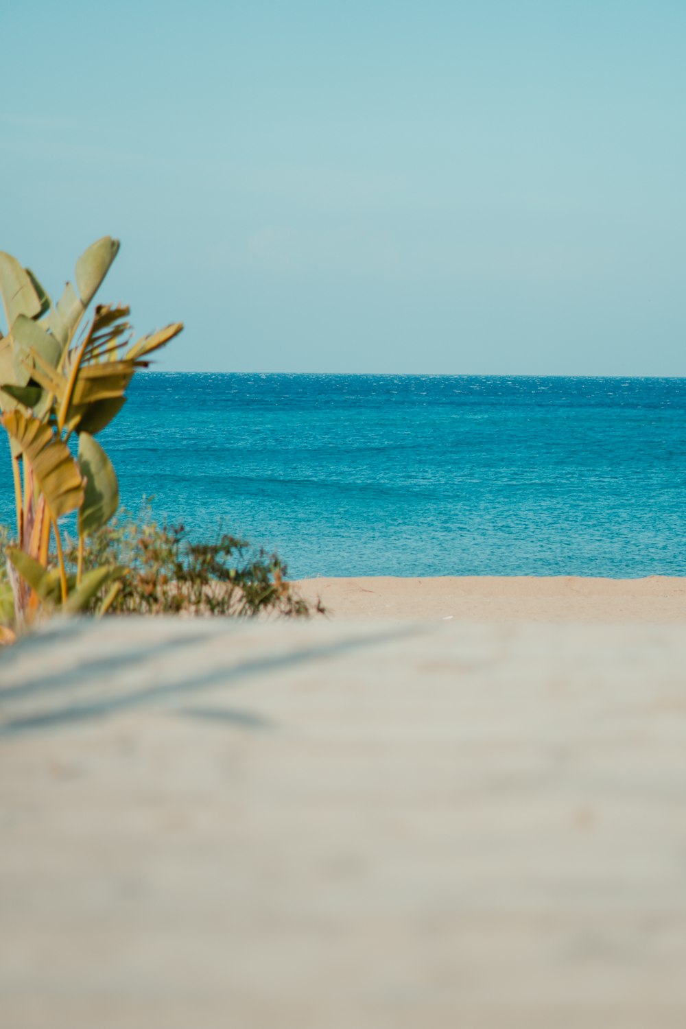 a person walking on a beach with a surfboard