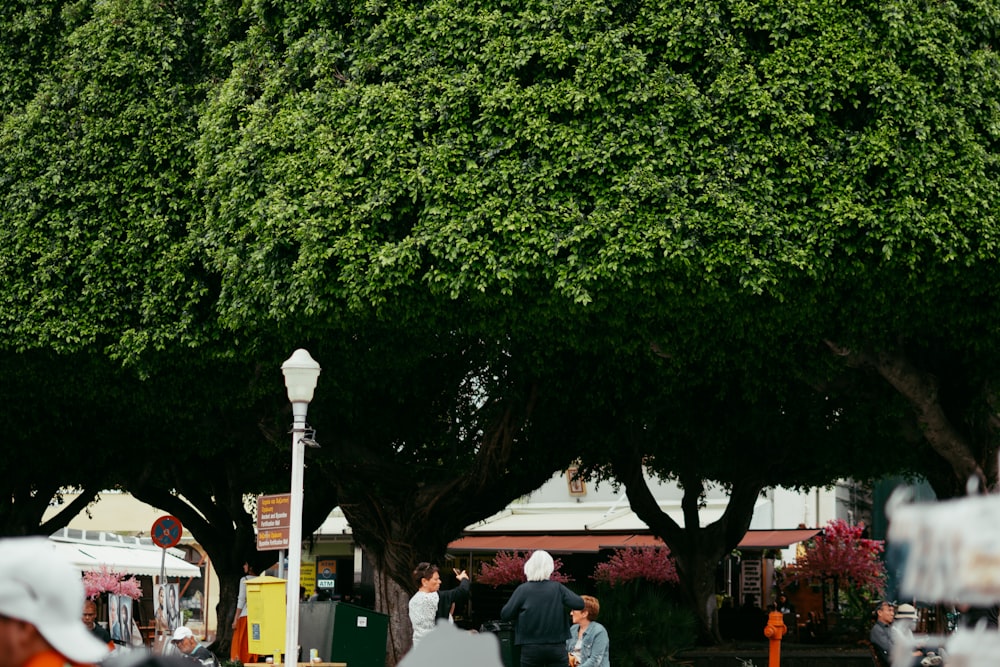 um grupo de pessoas caminhando por uma rua ao lado de árvores