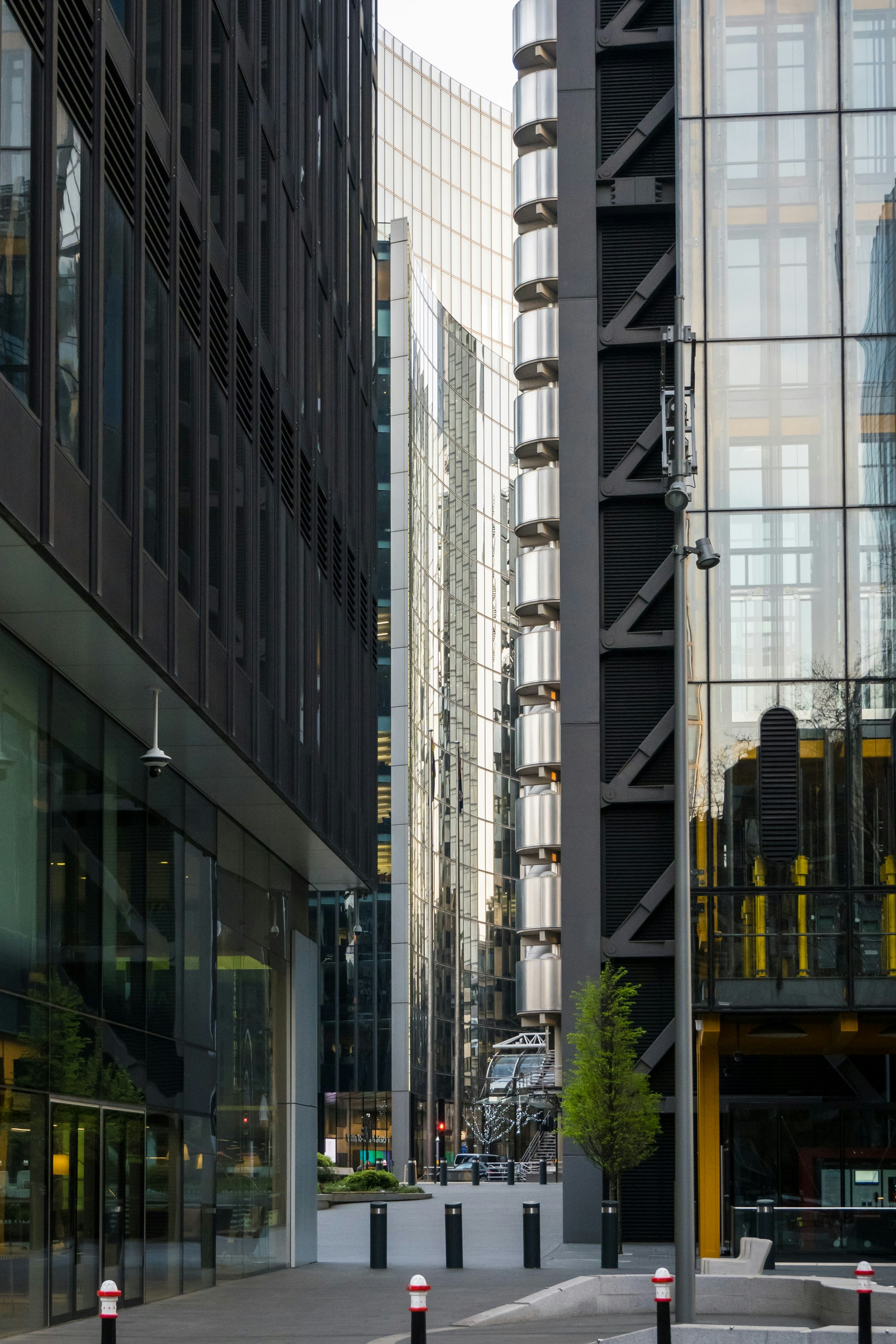 Photo by benjamin_photography