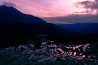 A picturesque view of rice terraces in Bhutan during sunset.