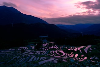A picturesque view of rice terraces in Bhutan during sunset.