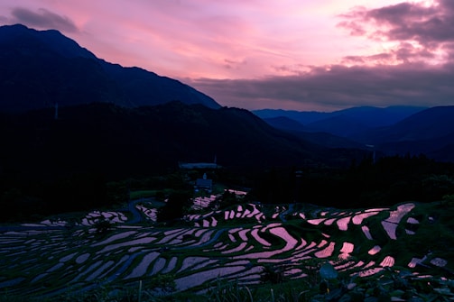 Sunset view over terraced rice fields with travelers admiring the scenery.