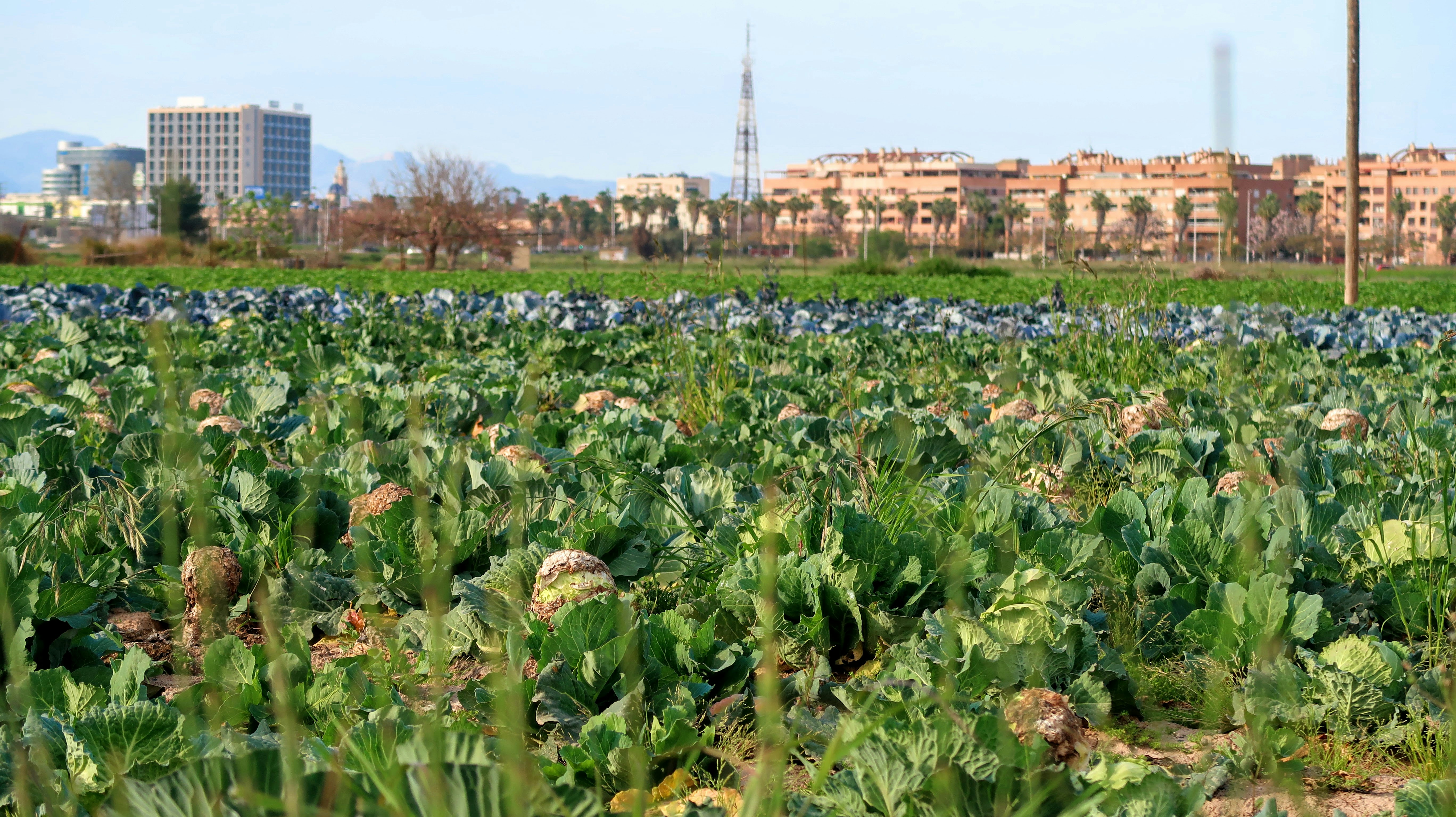 Valencia – Budgeting & Cost Expectations