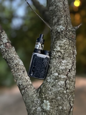 A vape device rests in the fork of a tree. The bark of the tree is textured with a variety of browns and grays. The vape device is black with a sleek, metallic finish, and features a transparent tank for e-liquid.