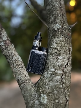 A vape device rests in the fork of a tree. The bark of the tree is textured with a variety of browns and grays. The vape device is black with a sleek, metallic finish, and features a transparent tank for e-liquid.