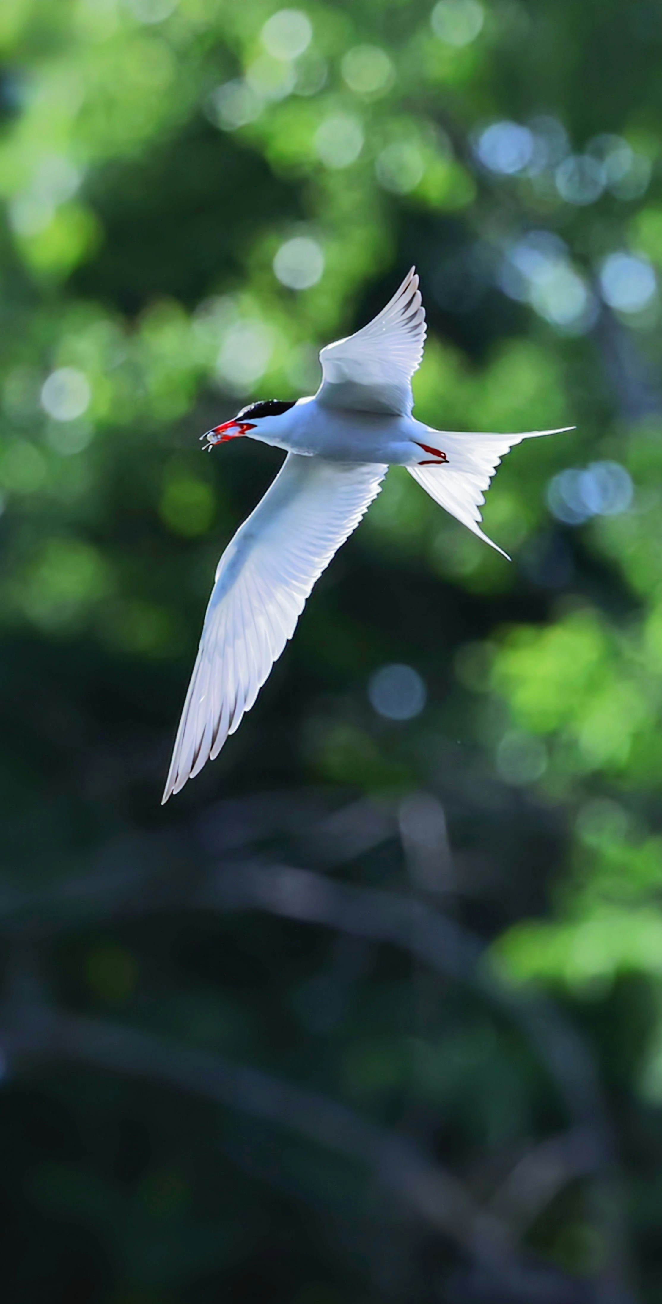 Photo by xuteyi