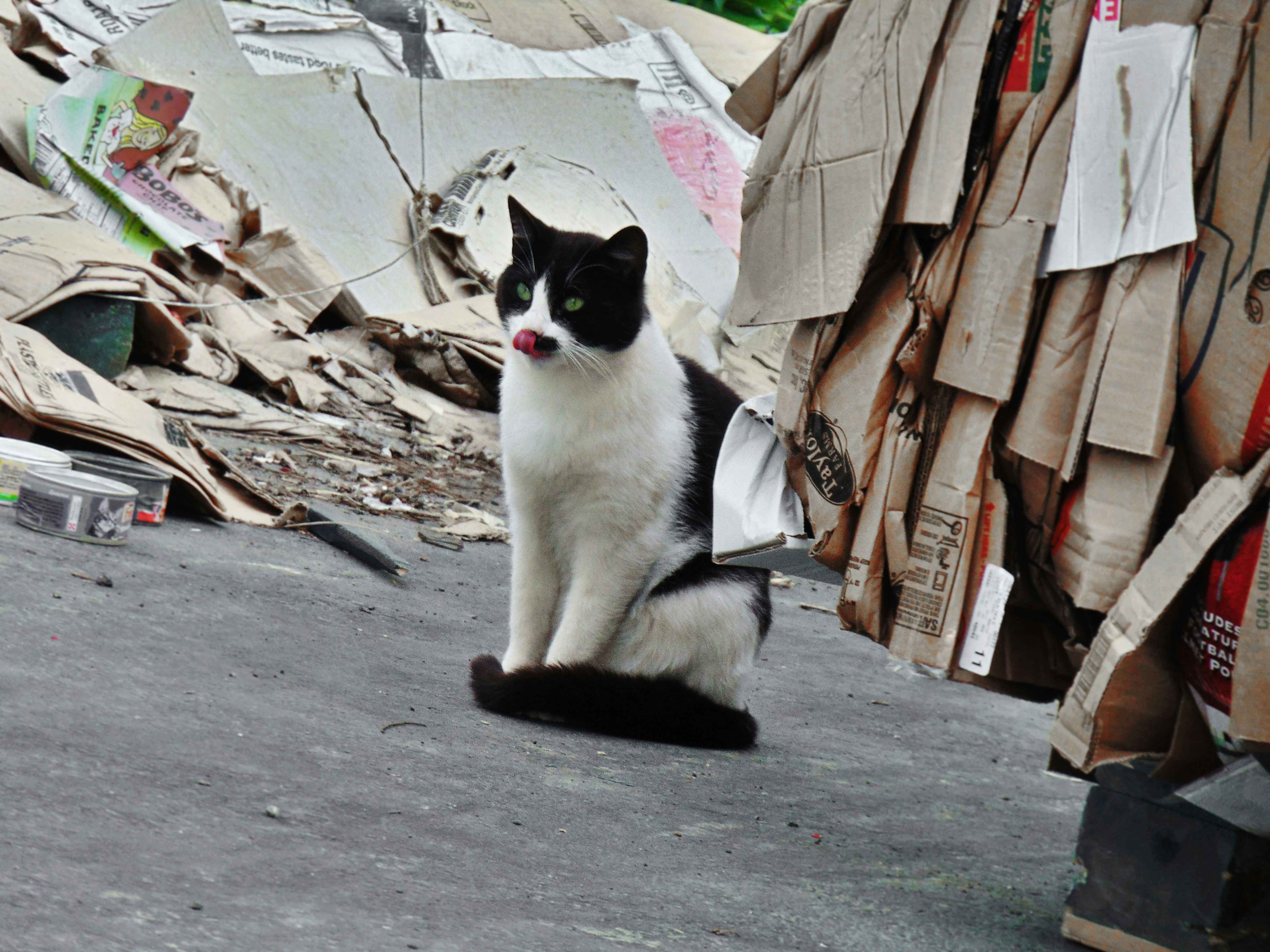 Photo by olivia_brewer2002