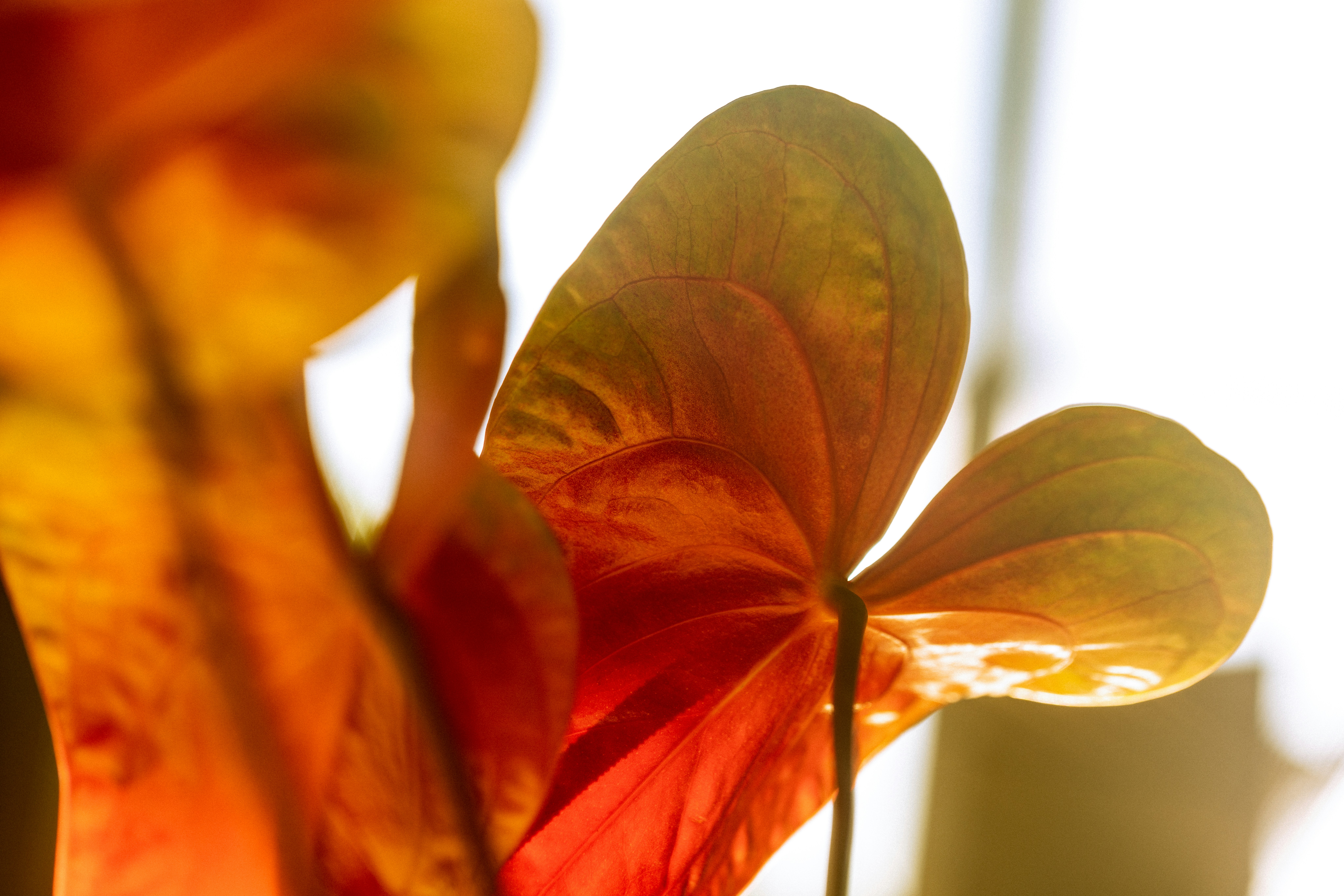 Photo by ashbrandingco